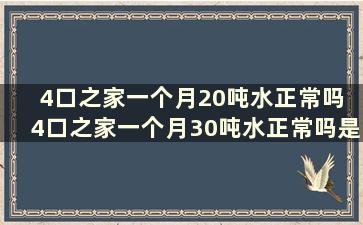 4口之家一个月20吨水正常吗 4口之家一个月30吨水正常吗是几方水